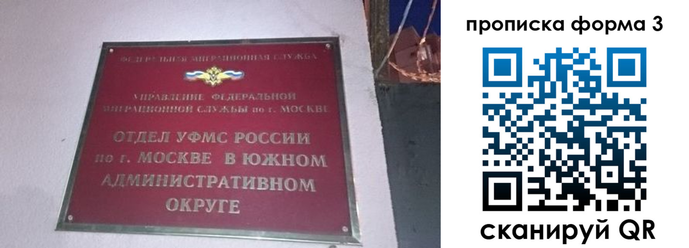 временная регистрация законно в Димитровграде
